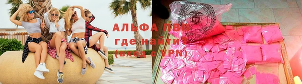 прущие грибы Армянск