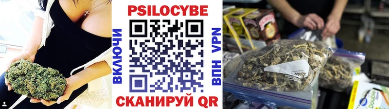 купить наркоту  Изобильный  Псилоцибиновые грибы Magic Shrooms 
