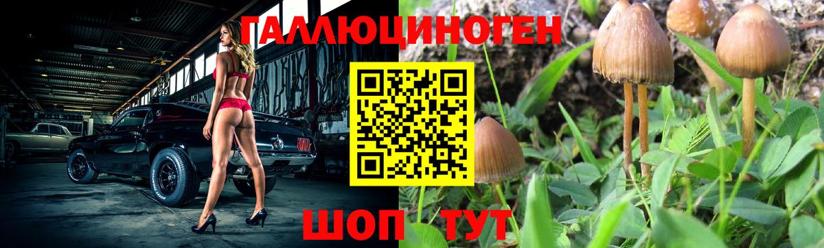 Галлюциногенные грибы Cubensis  Вход с VPN  Галлюциногенные грибы Psilocybine cubensis  Изобильный 